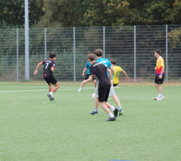 IMG_8531 IMG 8531