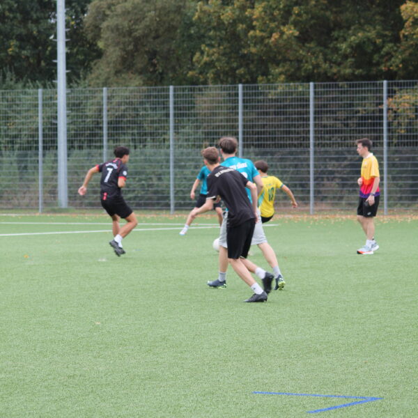 IMG_8531 IMG 8531