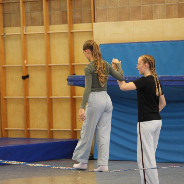 IMG_8533 IMG 8533